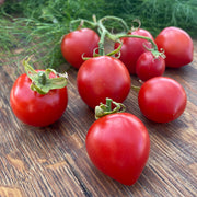 Tomato '42 Days'