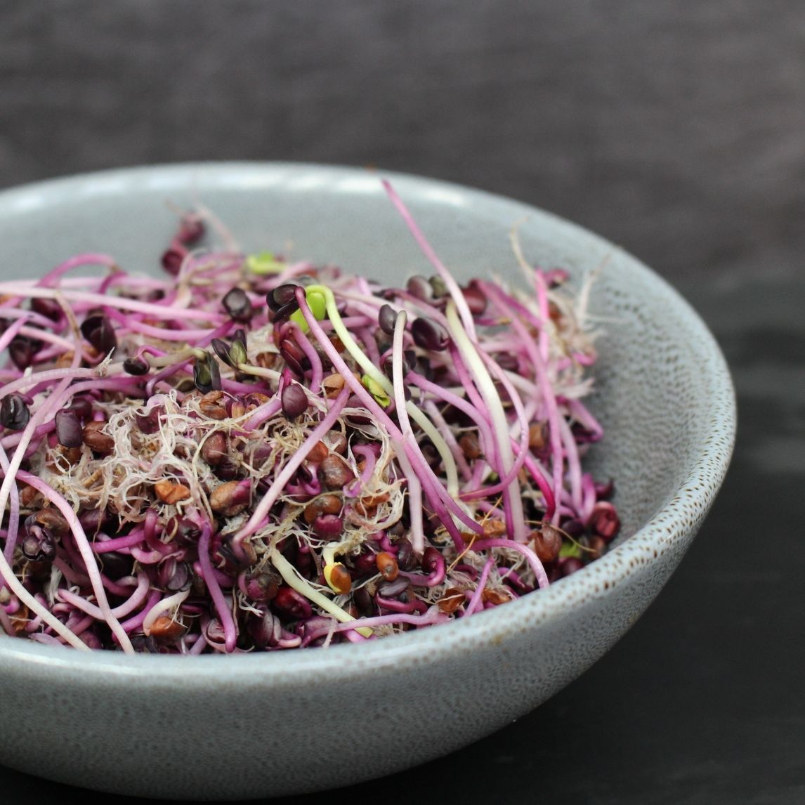 Red Radish Sprouts