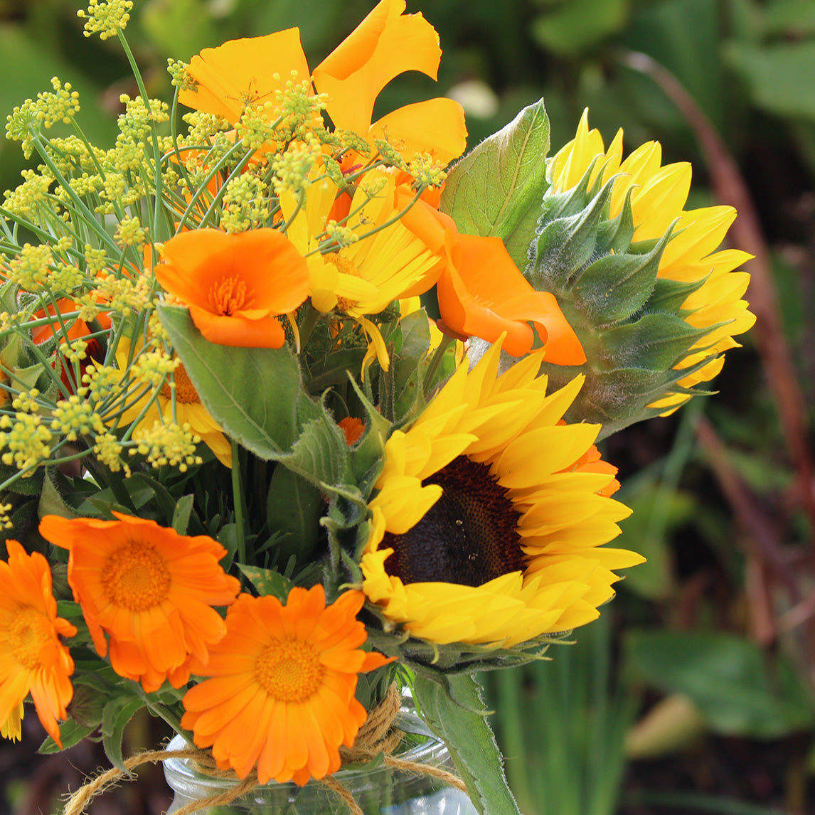 Sunrise Posy Collection