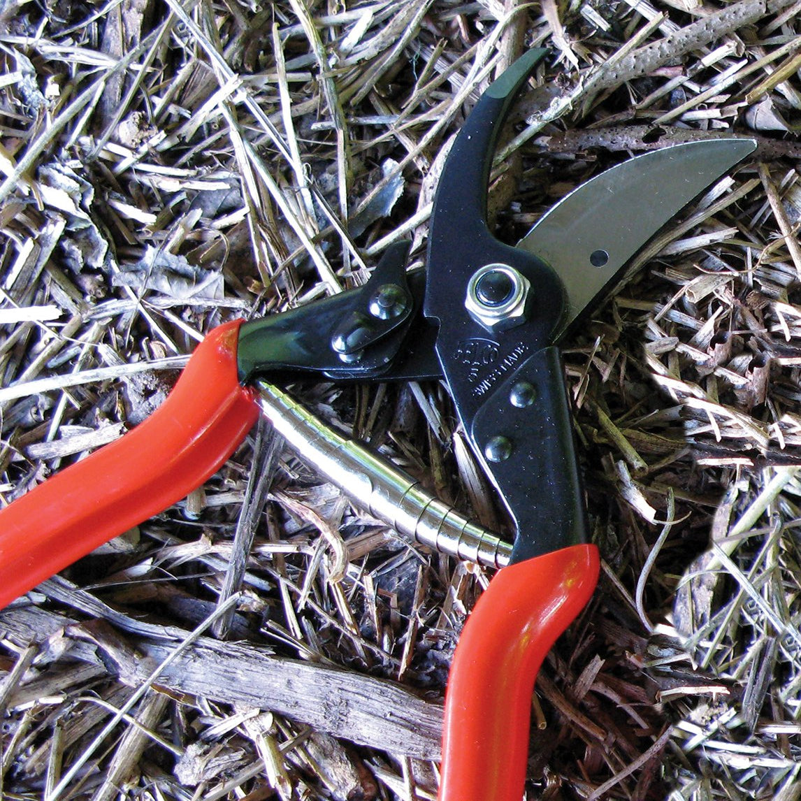 Felco 5 Pruners
