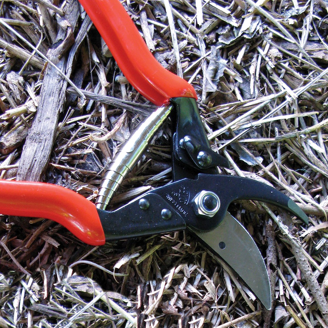 Felco 5 Pruners