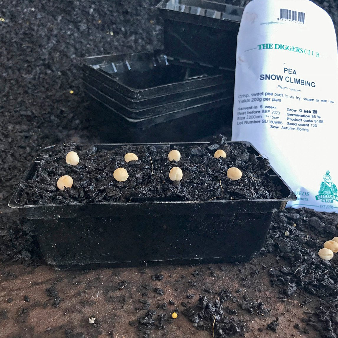 8 Seedling Punnets