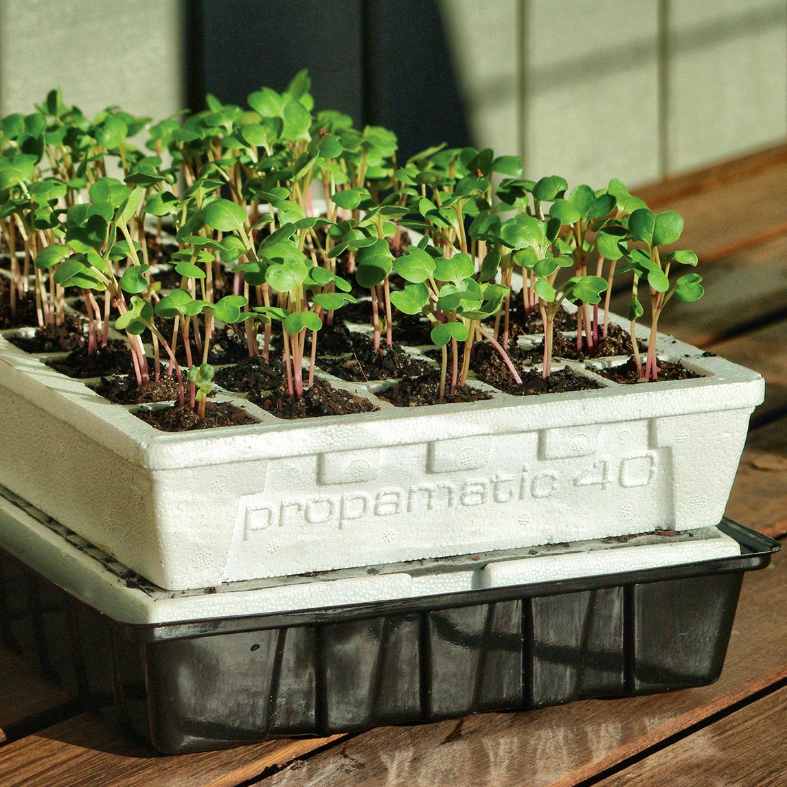 Self-Watering Propagation Kit