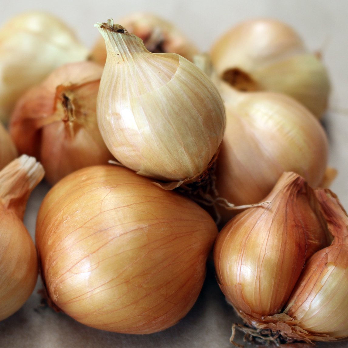 Golden Shallots (5 Bulbs)