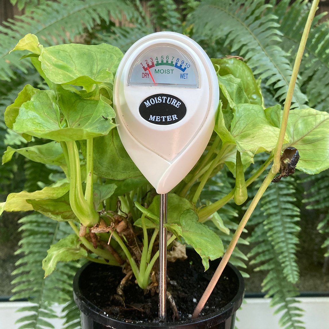 Soil Moisture Meter