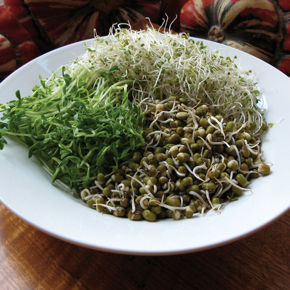 Sprouts And Shoots Collection