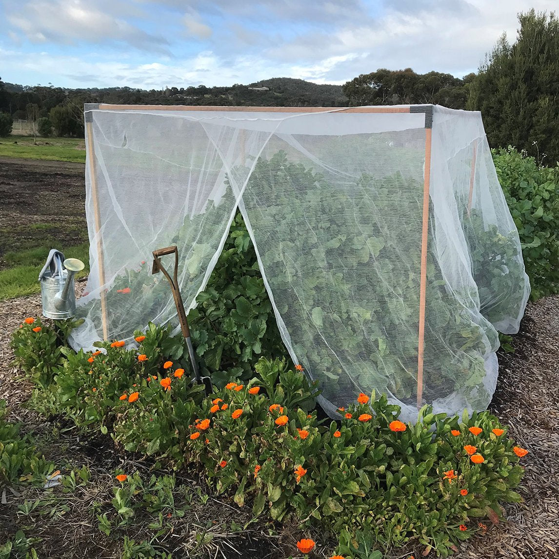 Square Formed Garden Nets