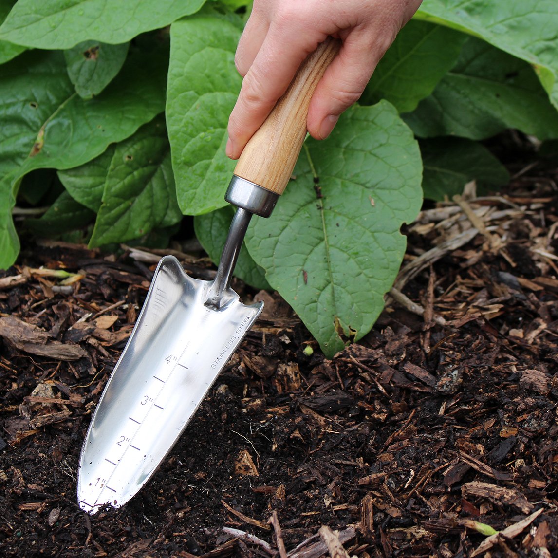 Premium Stainless Steel Hand Transplanter
