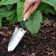 Premium Stainless Steel Hand Transplanter