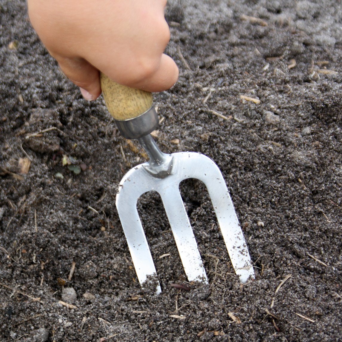 Stainless Steel Kids Hand Fork