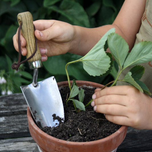 Premium Stainless Steel Kids Hand Trowel