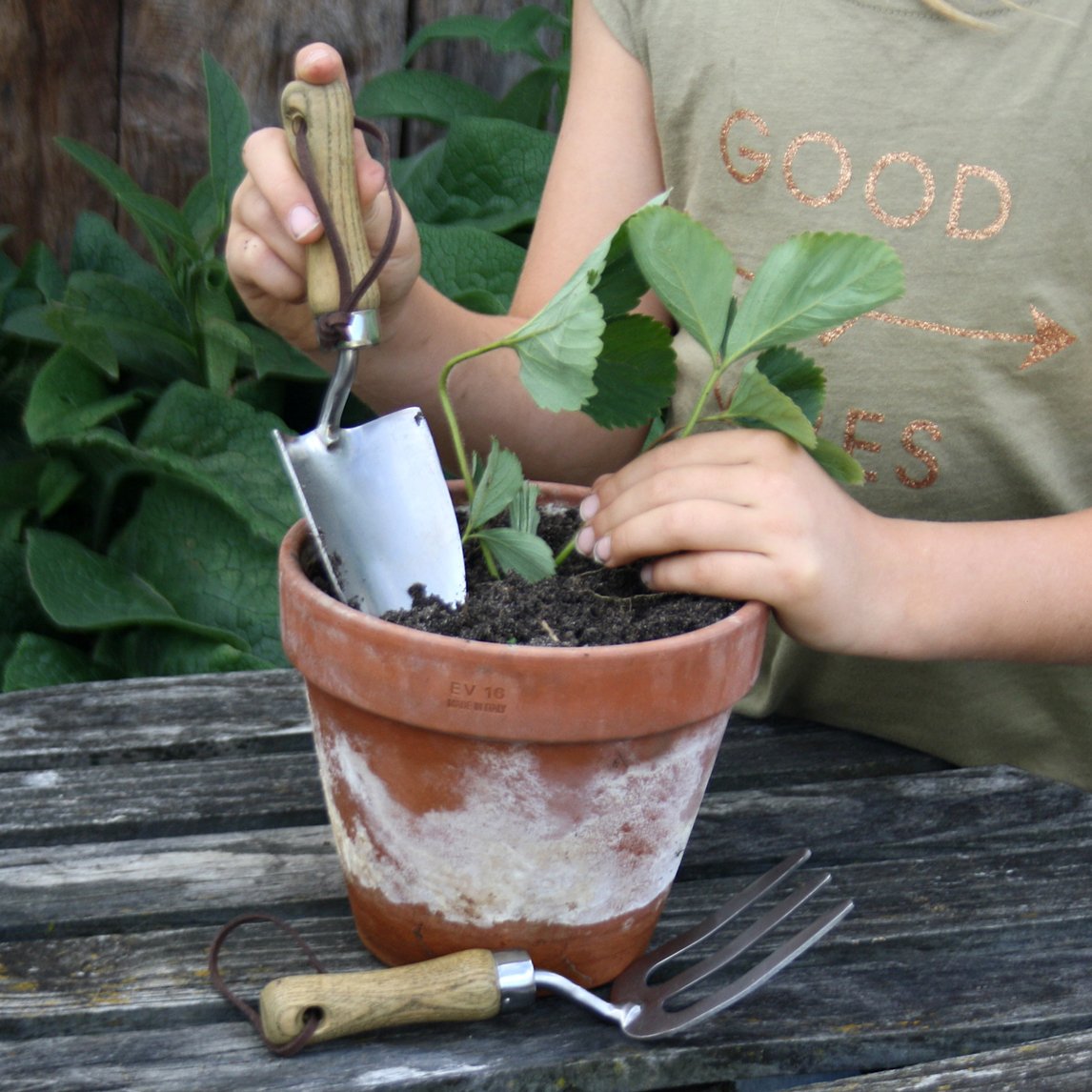 Stainless Steel Kids Tool Set