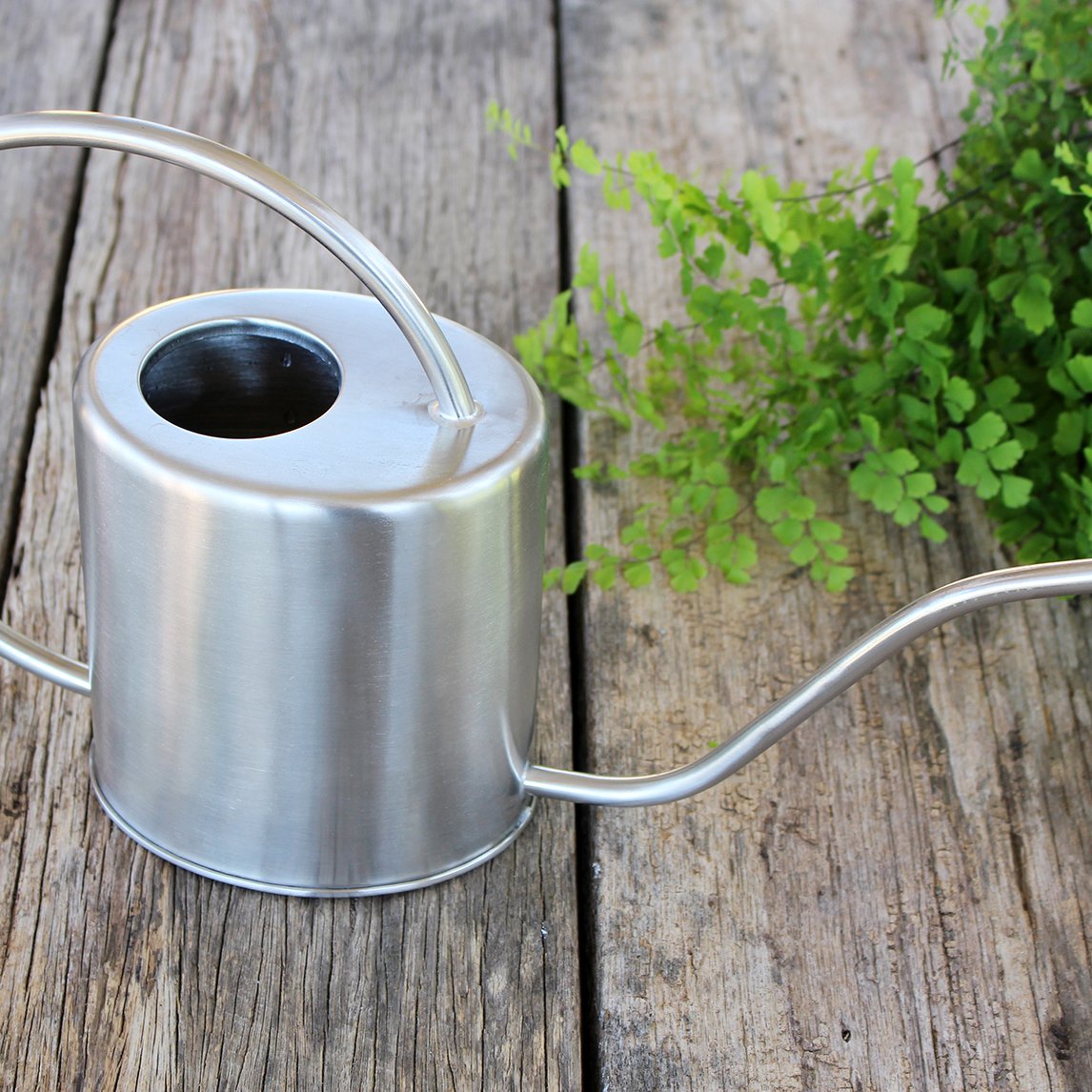 Stainless Steel Watering Can 1.5l