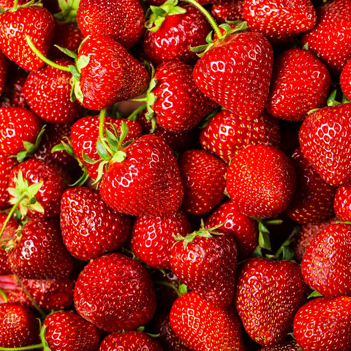 Strawberry 'Tioga'