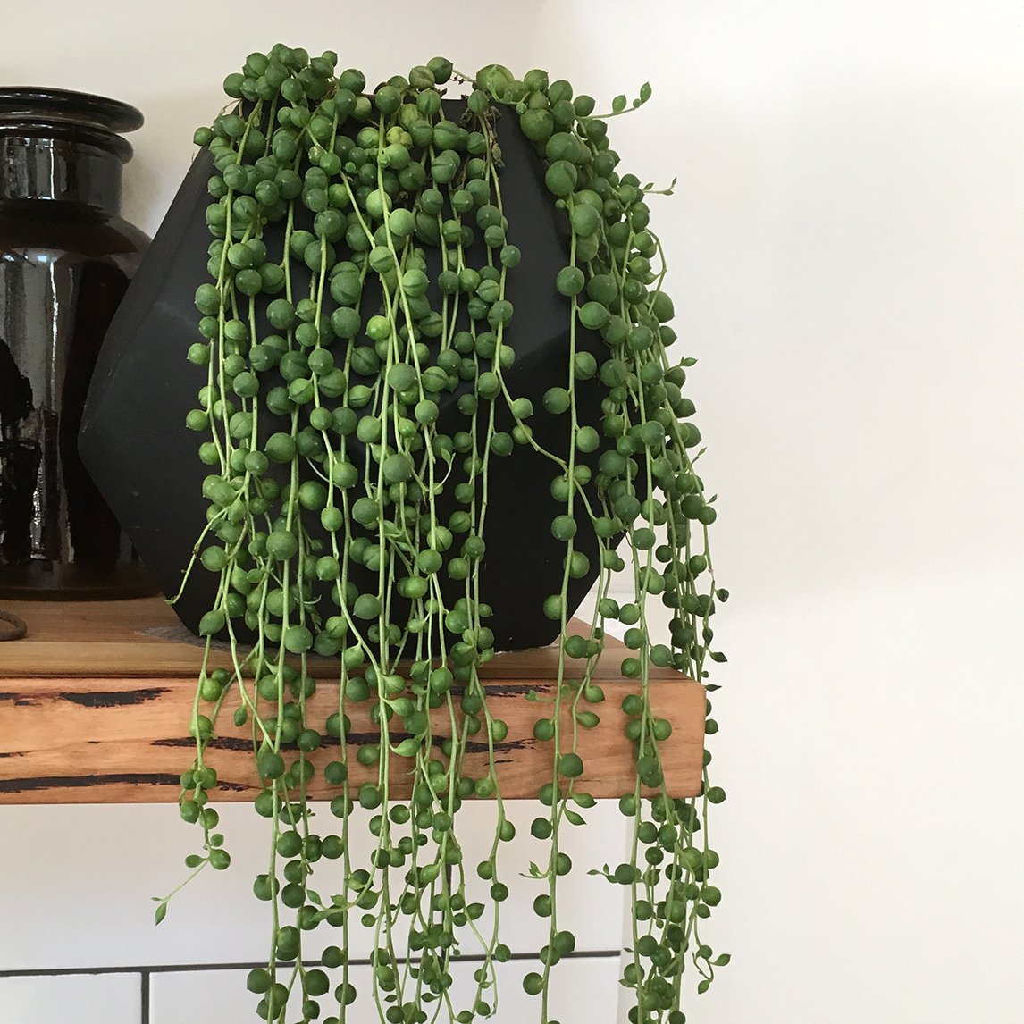 String Of Pearls