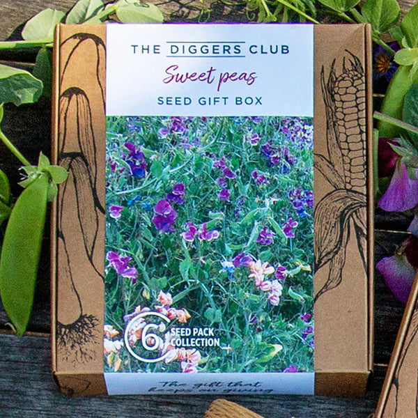 Sweet Pea Gift Box The Diggers Club