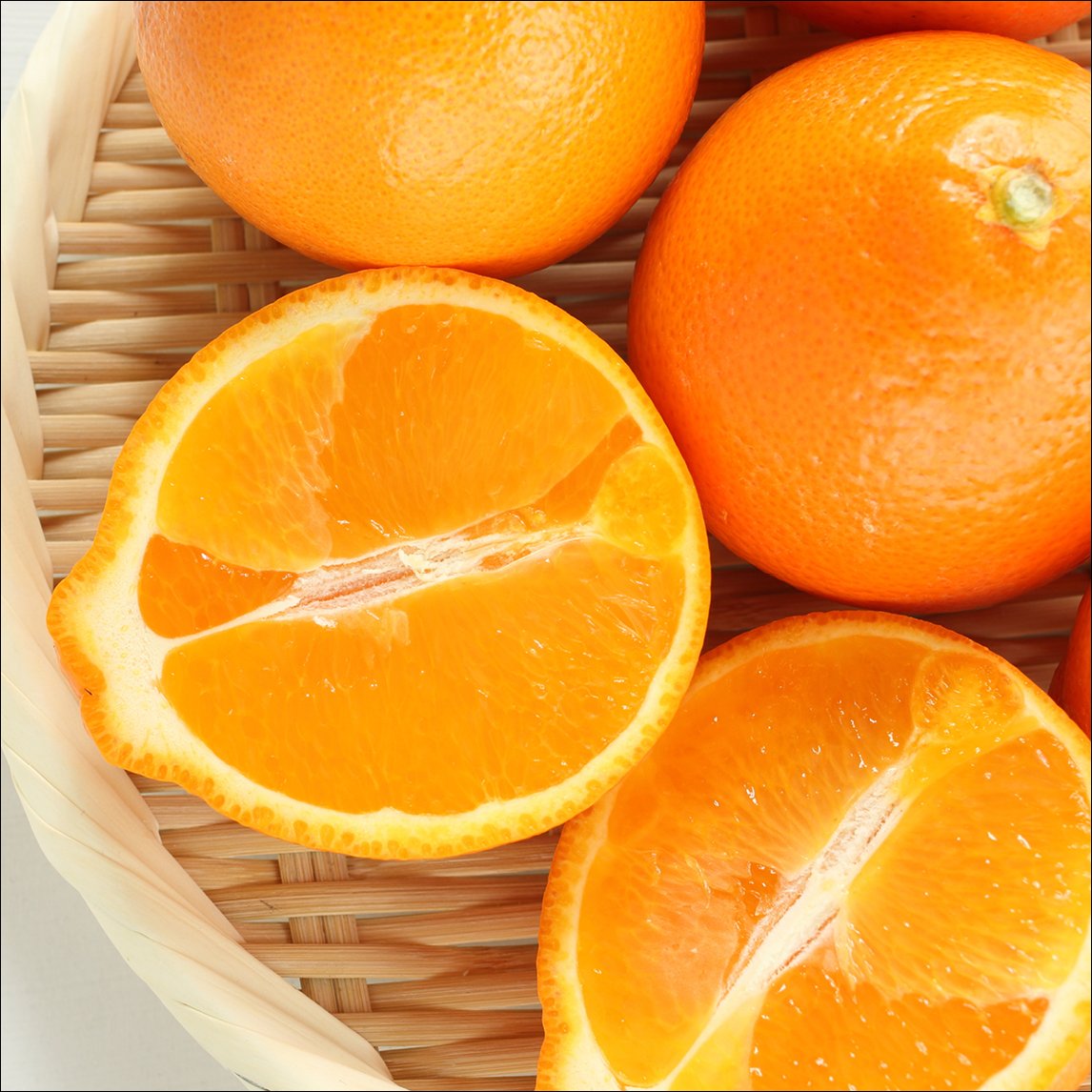 Citrus Starter Pack