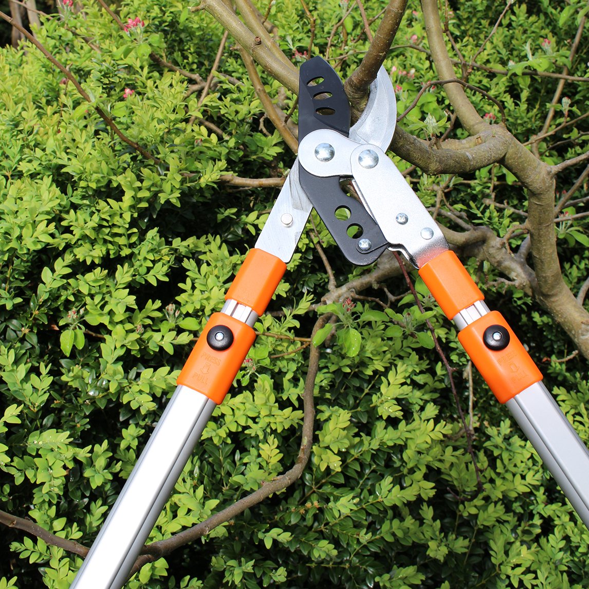 Telescopic Loppers - The Diggers Club