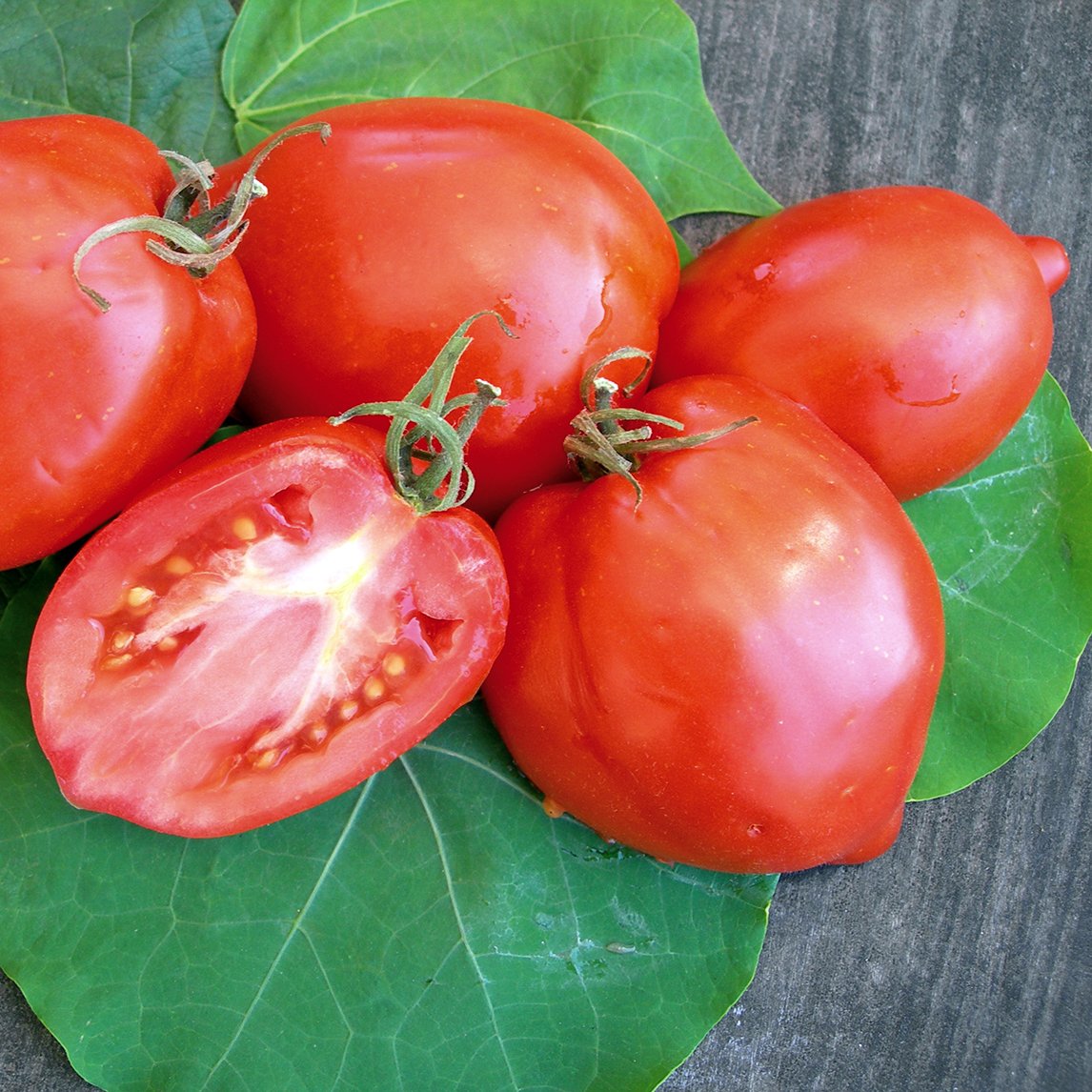 Tomato 'Amish Paste'