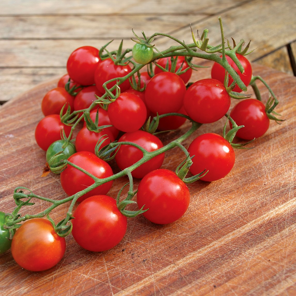 Tomato 'Christmas Grapes' (Organic)