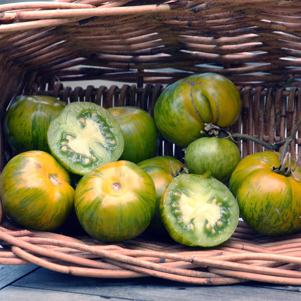 Tomato 'Green Zebra' - The Diggers Club