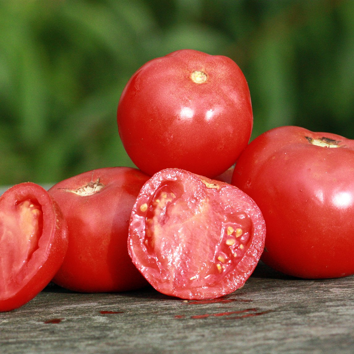 Tomato 'Grosse Lisse' (Organic)