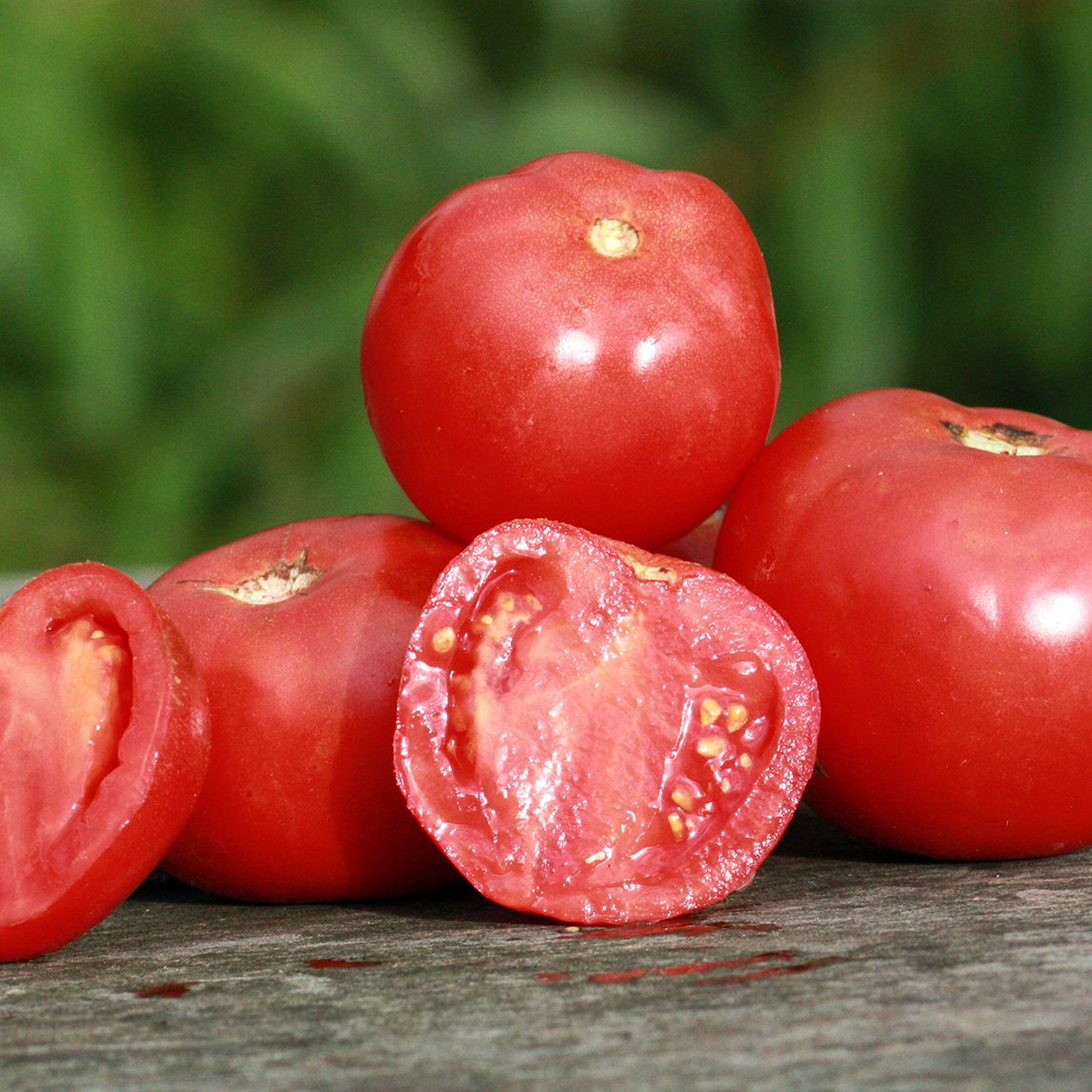 Tomato 'Grosse Lisse'