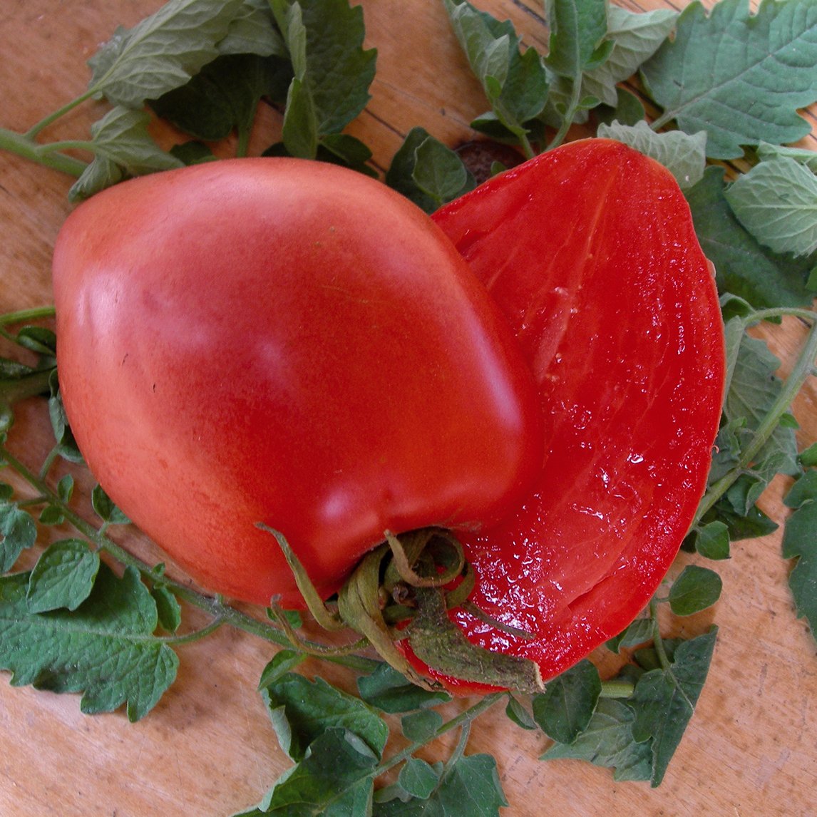 Tomato 'Hungarian Heart'