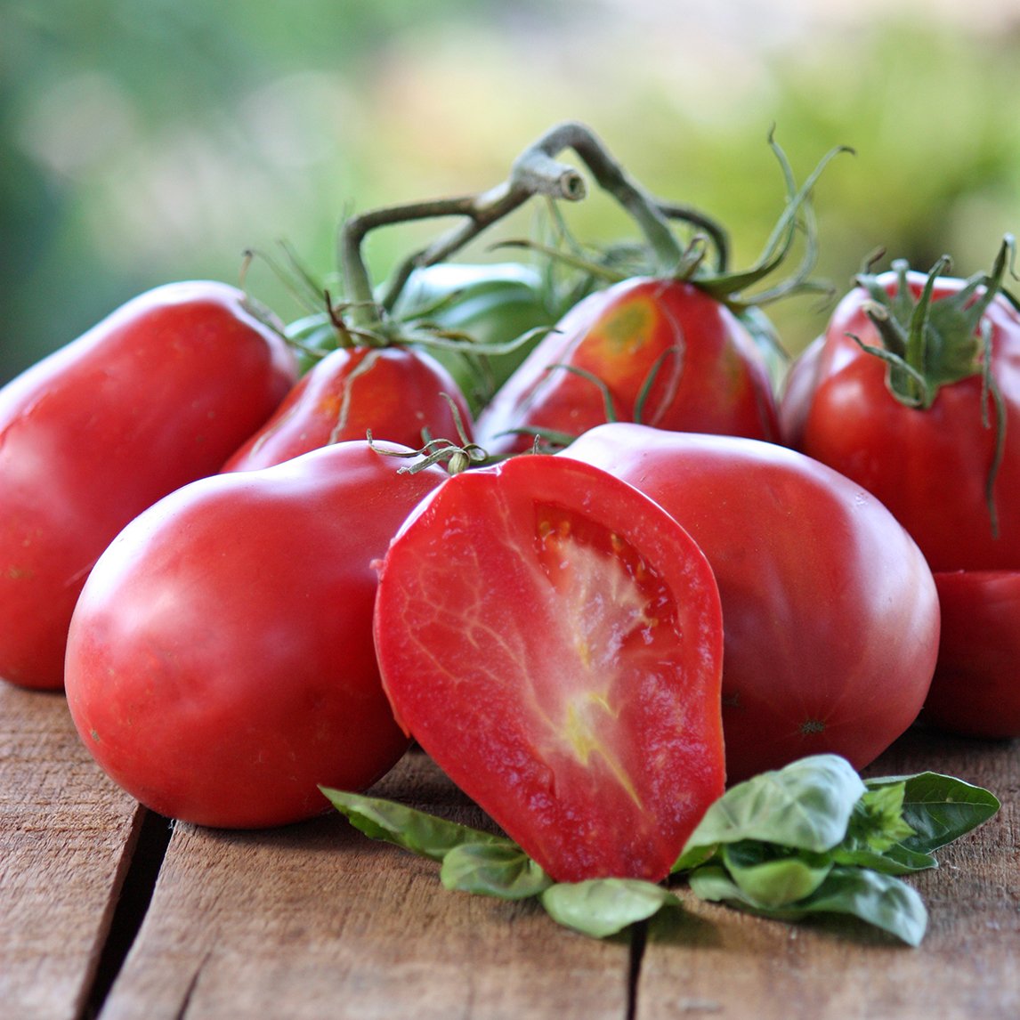 Tomato &#39;Nonno&#39;s Italian Pear&#39; (Organic)
