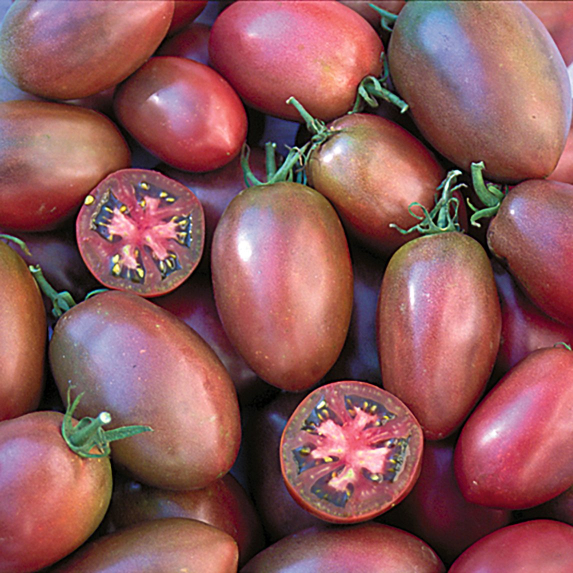 Tomato &#39;Purple Ukrainian&#39; (Organic)