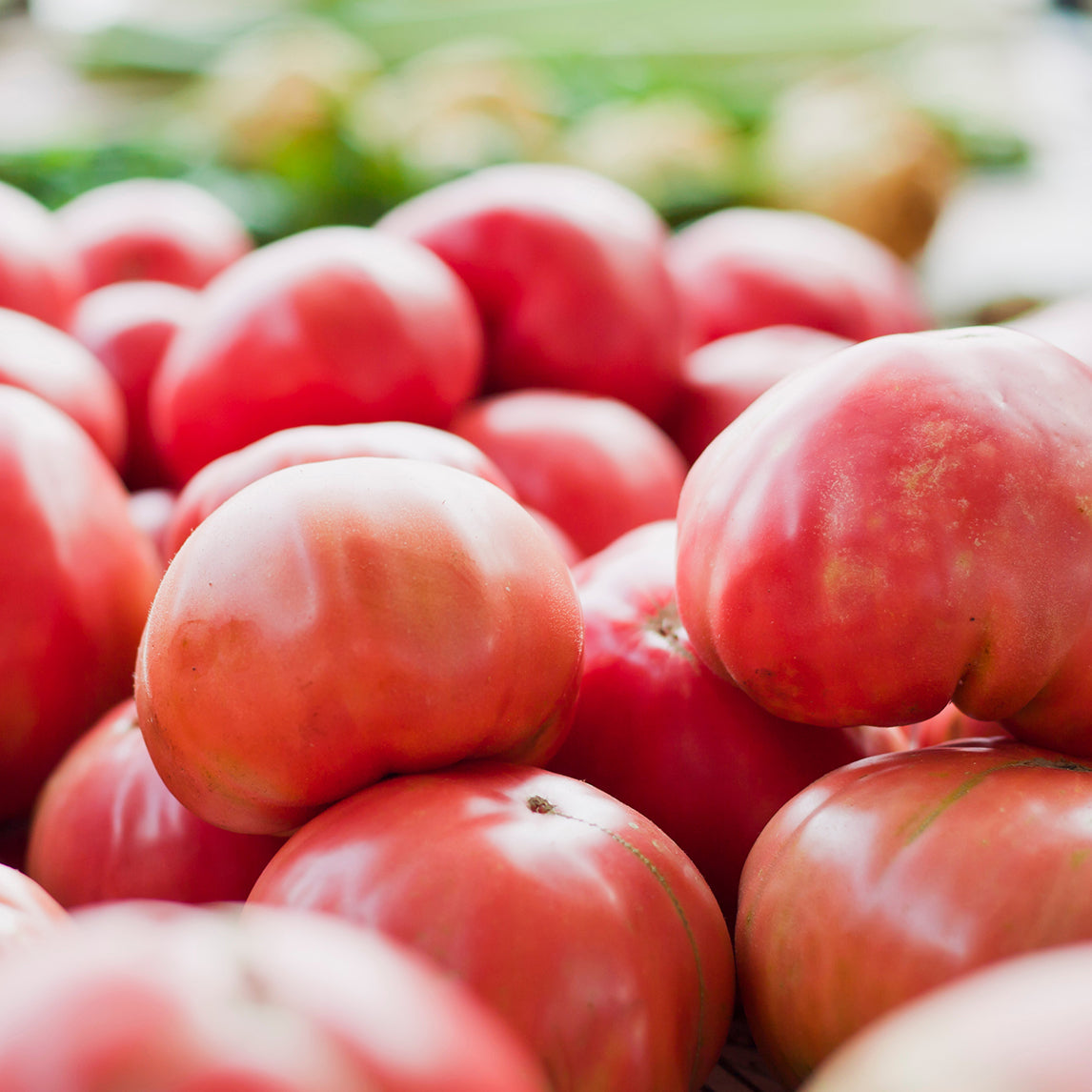 Tomato 'Soldaki' (Organic)