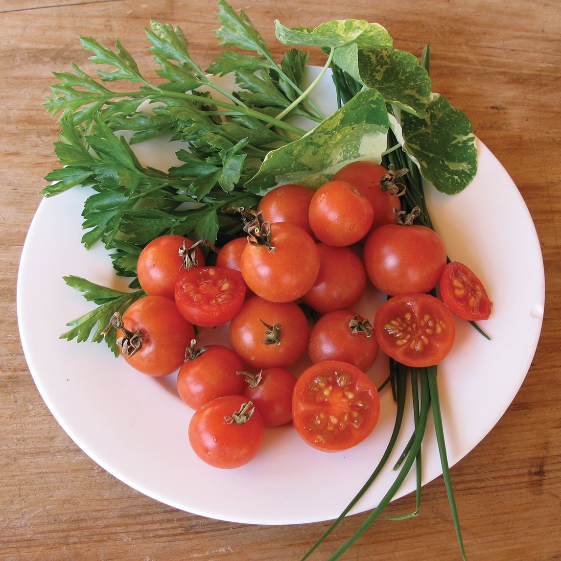 Tomato 'Sugar Lump' (Organic)