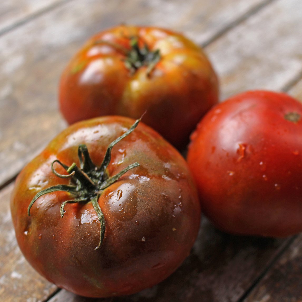 Tomato 'Tasmanian Chocolate' (Organic)