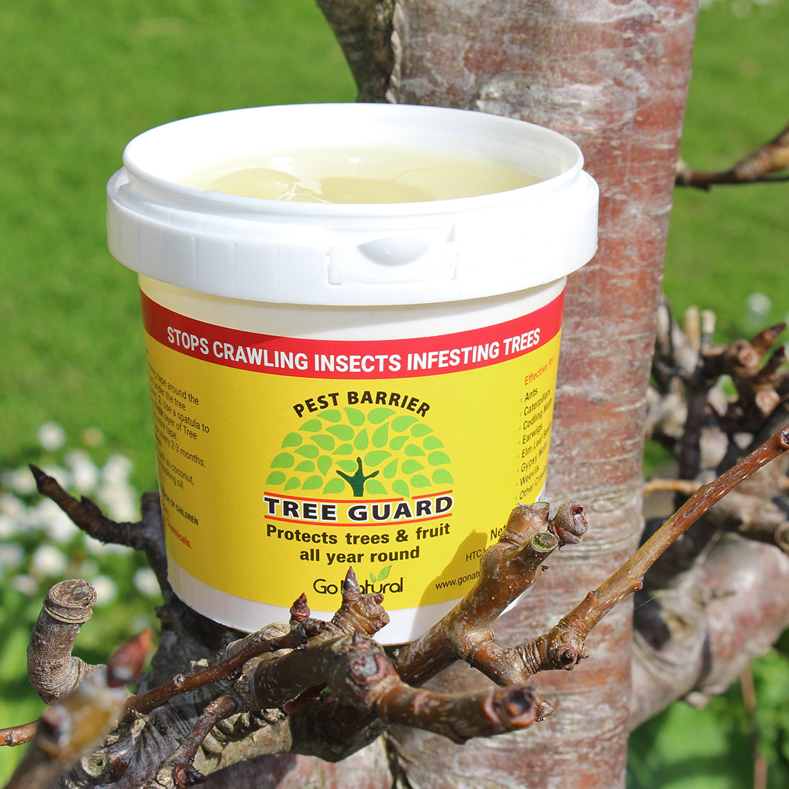 Tree Guard Stops Codling Moth