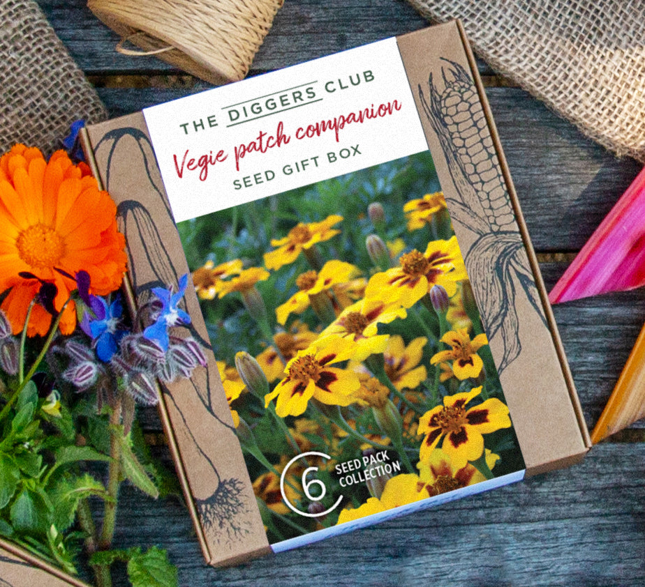 Vegie Patch Companion Gift Box