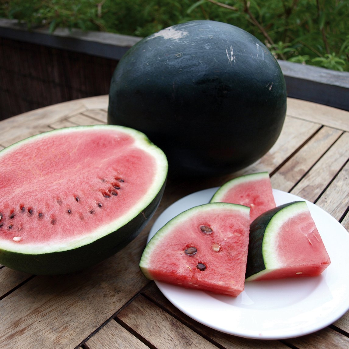Watermelon 'Sugar Baby'