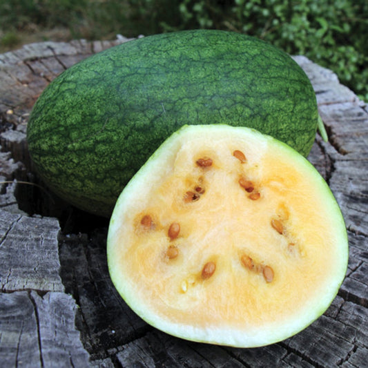 Watermelon 'Sweet Siberian'