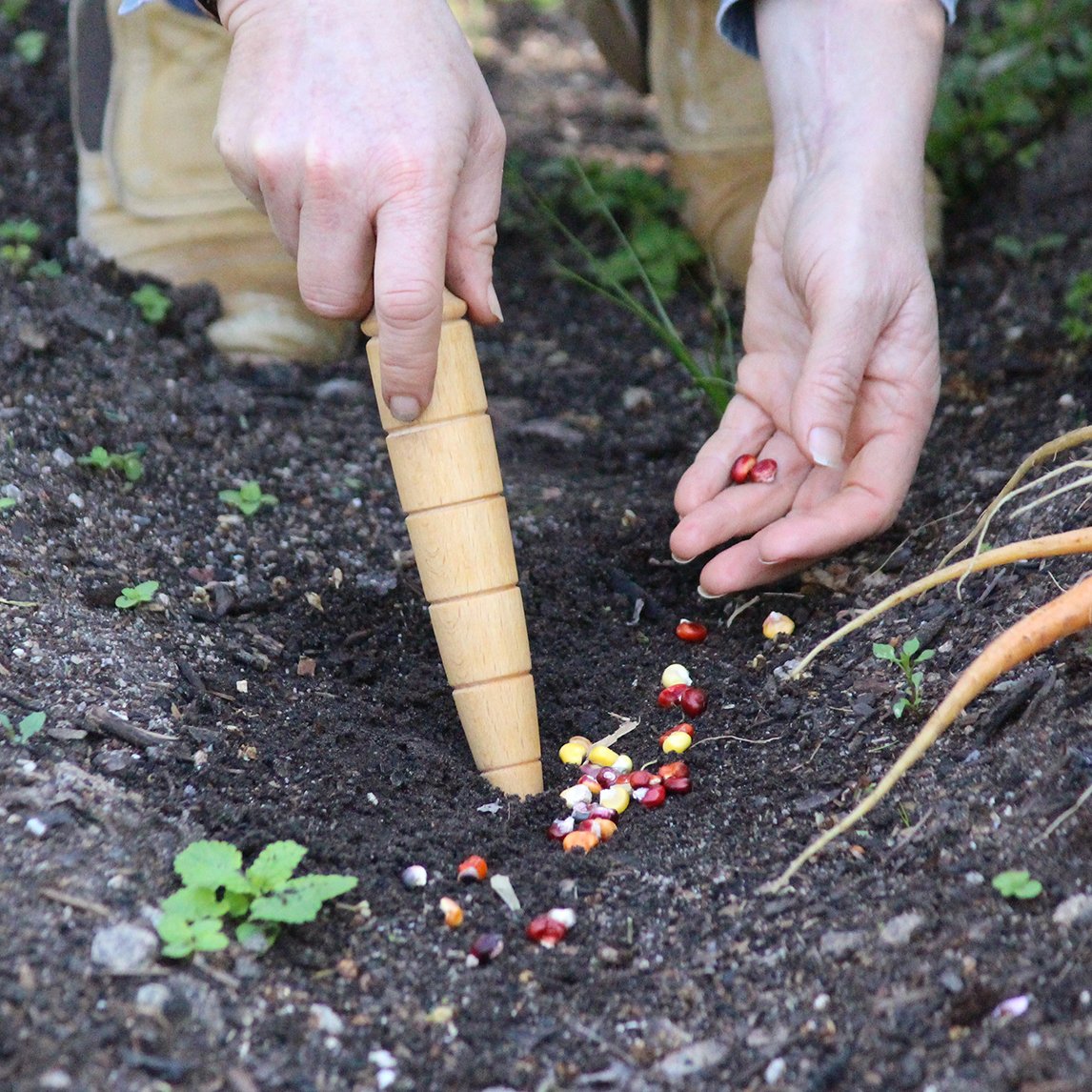 Wooden Dibber